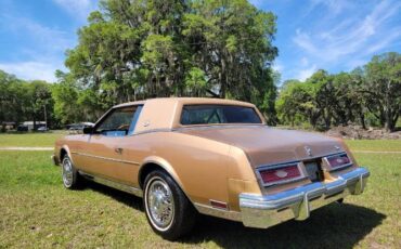 Buick-Riviera-1981-12
