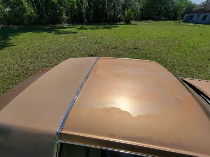 Buick-Riviera-1981-9