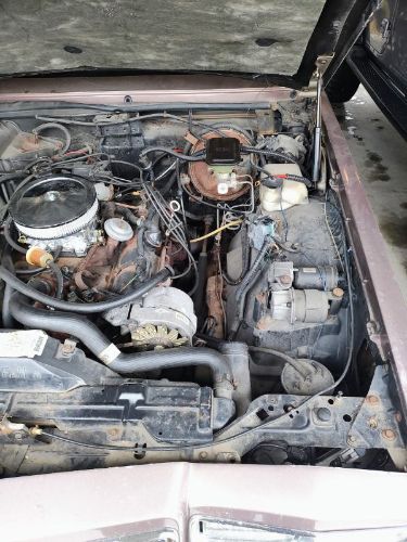 Buick-Riviera-1983-17