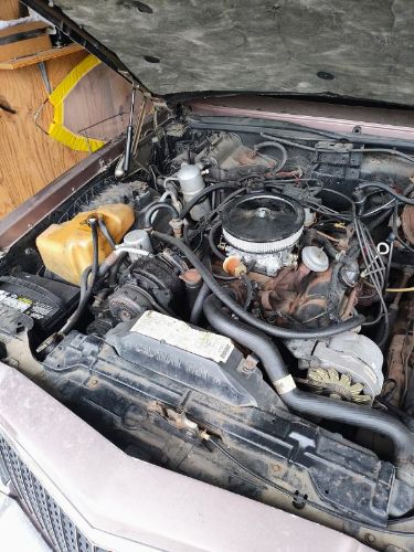 Buick-Riviera-1983-19