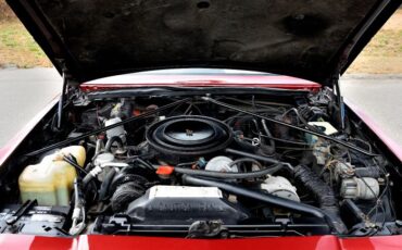 Buick-Riviera-1983-Red-Red-40