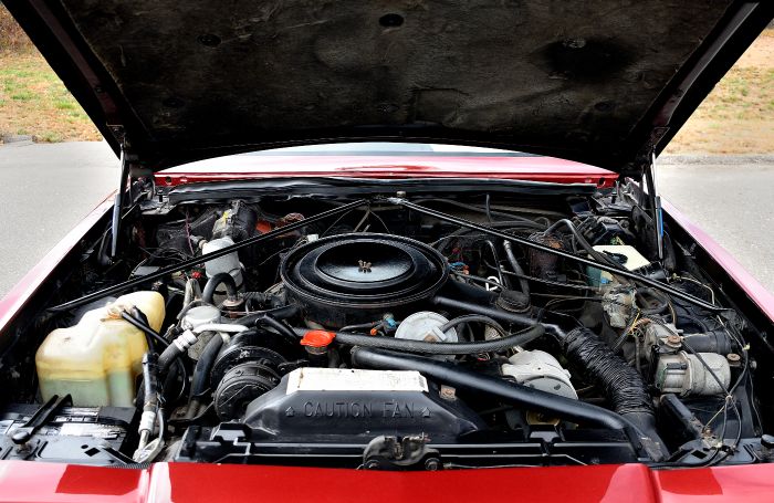 Buick-Riviera-1983-Red-Red-40
