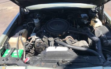 Buick-Riviera-1985-Green-3