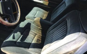 Buick-Riviera-1985-Green-5