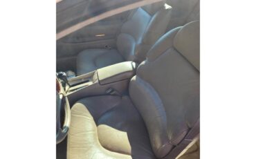 Buick-Riviera-1995-Red-Patina-finish-Tan-leather-20