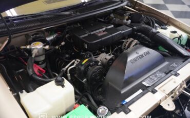 Buick-Roadmaster-1993-Light-Driftwood-Beige-34