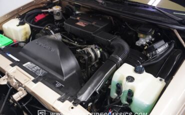 Buick-Roadmaster-1993-Light-Driftwood-Beige-37