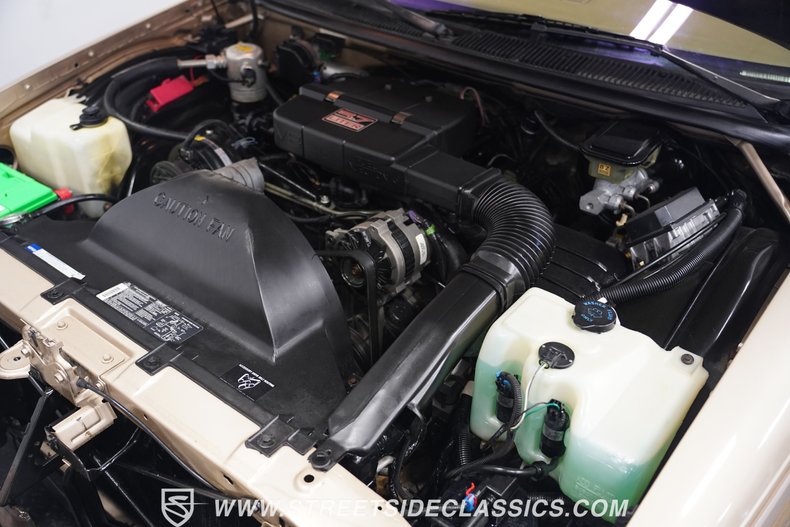 Buick-Roadmaster-1993-Light-Driftwood-Beige-37