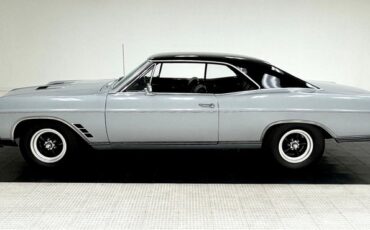 Buick-Skylark-1966-Silver-Mist-Black-2