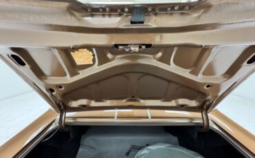 Buick-Skylark-1968-Burnished-Saddle-Ivory-7