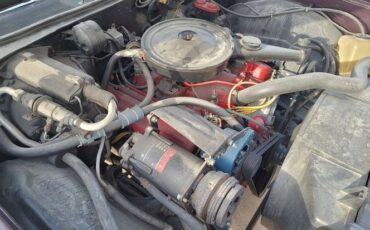 Buick-Skylark-1969-Deep-Plumb-Black-3