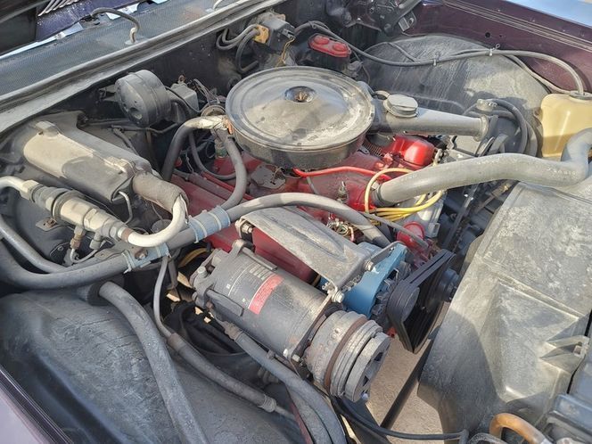 Buick-Skylark-1969-Deep-Plumb-Black-3