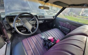 Buick-Skylark-1969-Deep-Plumb-Black-4