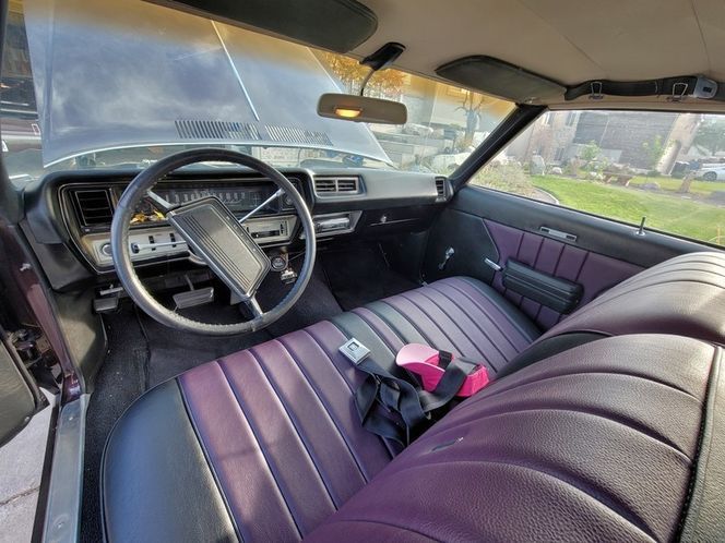 Buick-Skylark-1969-Deep-Plumb-Black-4