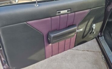 Buick-Skylark-1969-Deep-Plumb-Black-6