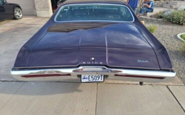 Buick-Skylark-1969-Deep-Plumb-Black-8
