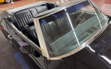 Buick-Skylark-1971-2-door-convt-10
