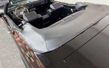 Buick-Skylark-1971-2-door-convt-13