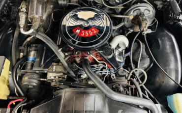 Buick-Skylark-1971-2-door-convt-18
