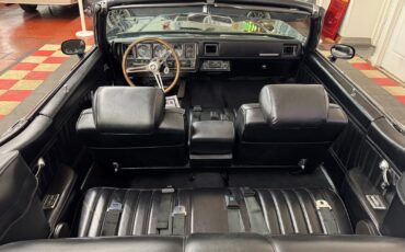 Buick-Skylark-1971-2-door-convt-19