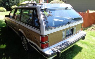 Buick-century-wagon-1995-3