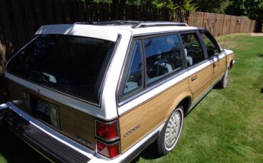 Buick-century-wagon-1995-4
