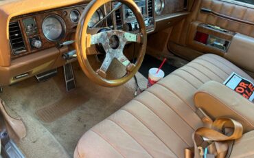 Buick-electria-1979-4