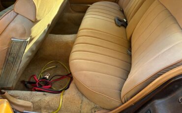 Buick-electria-1979-5