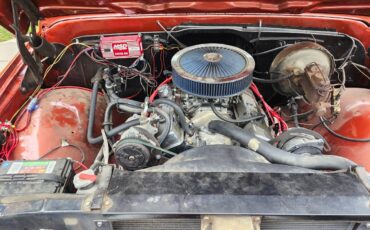 C10-1972-orange-7