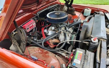 C10-1972-orange-9