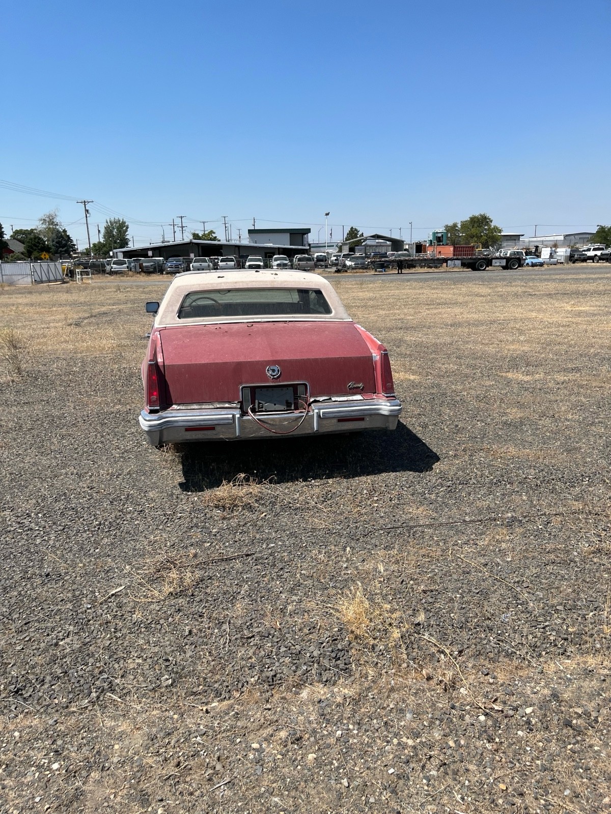 Cadillac-Biarritz-1976-1