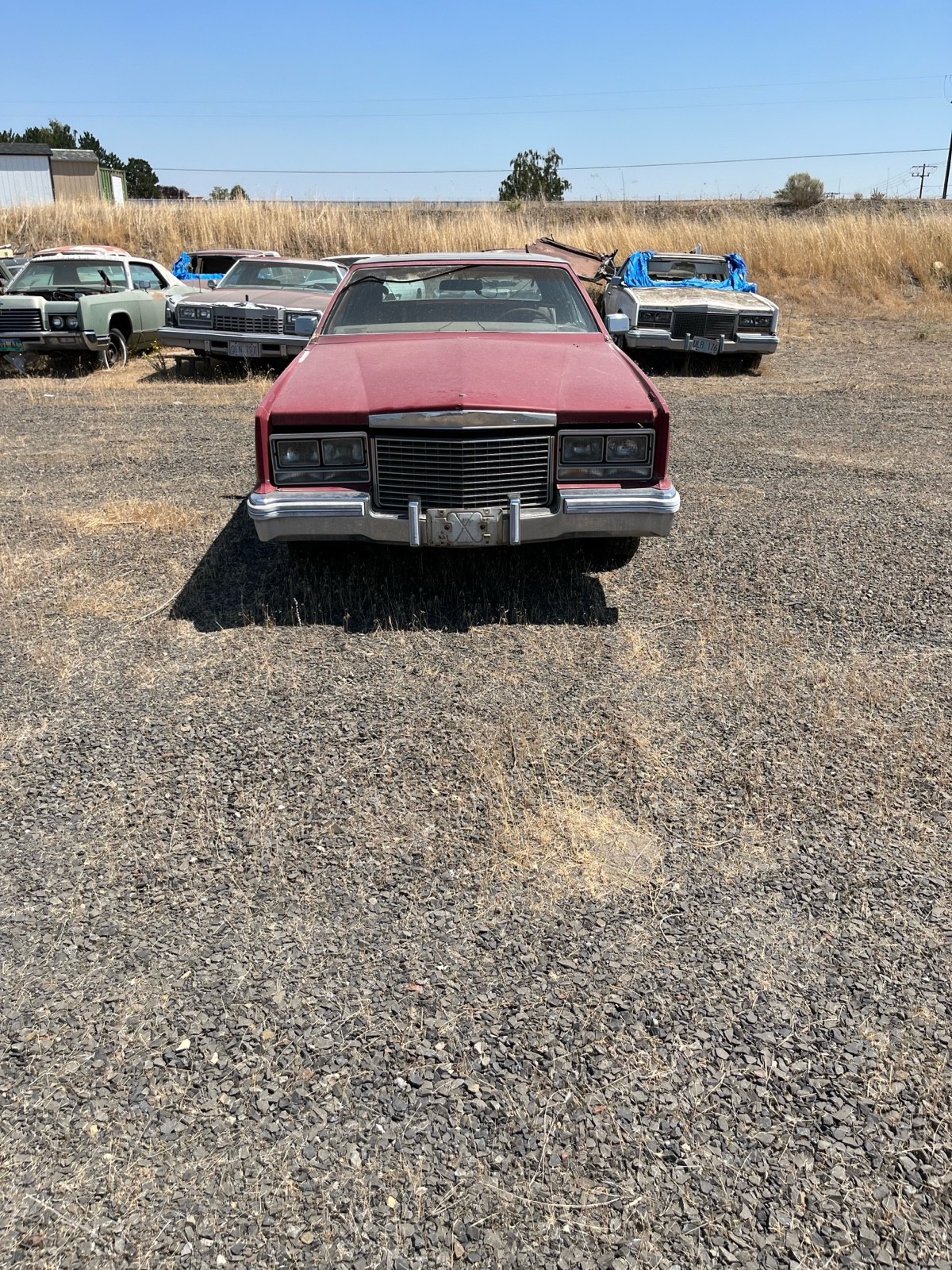 Cadillac-Biarritz-1976-2