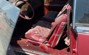 Cadillac-Biarritz-1976-5