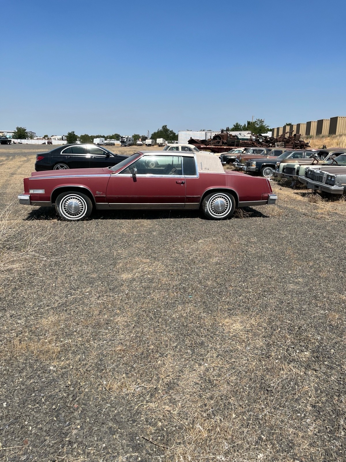Cadillac-Biarritz-1976