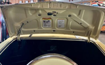 Cadillac-Biarritz-1978-14