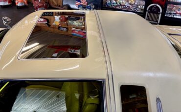 Cadillac-Biarritz-1978-20