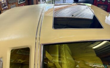 Cadillac-Biarritz-1978-21