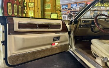 Cadillac-Biarritz-1978-22