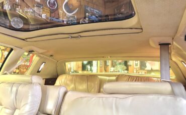 Cadillac-Biarritz-1978-25
