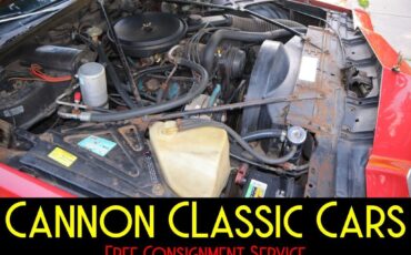 Cadillac-DeVille-1977-18