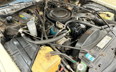Cadillac-DeVille-1981-Coupe-12