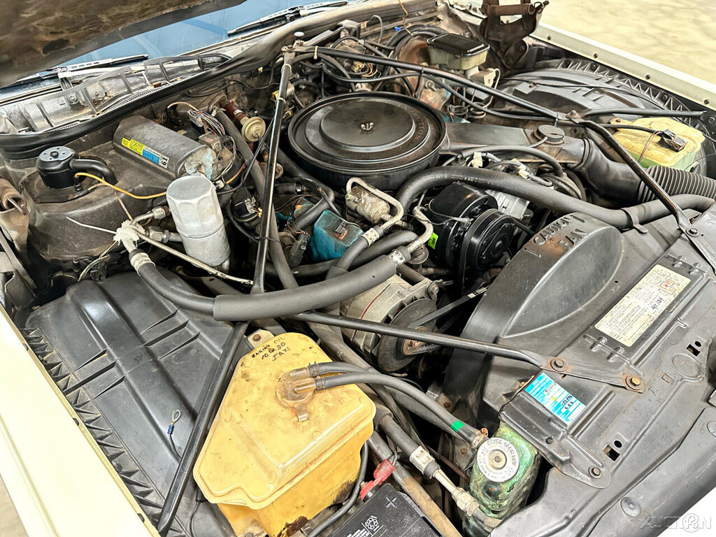 Cadillac-DeVille-1981-Coupe-12