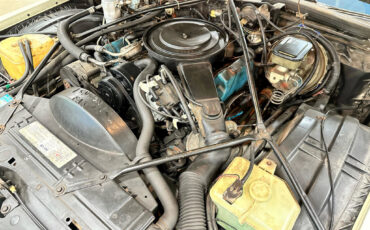 Cadillac-DeVille-1981-Coupe-13