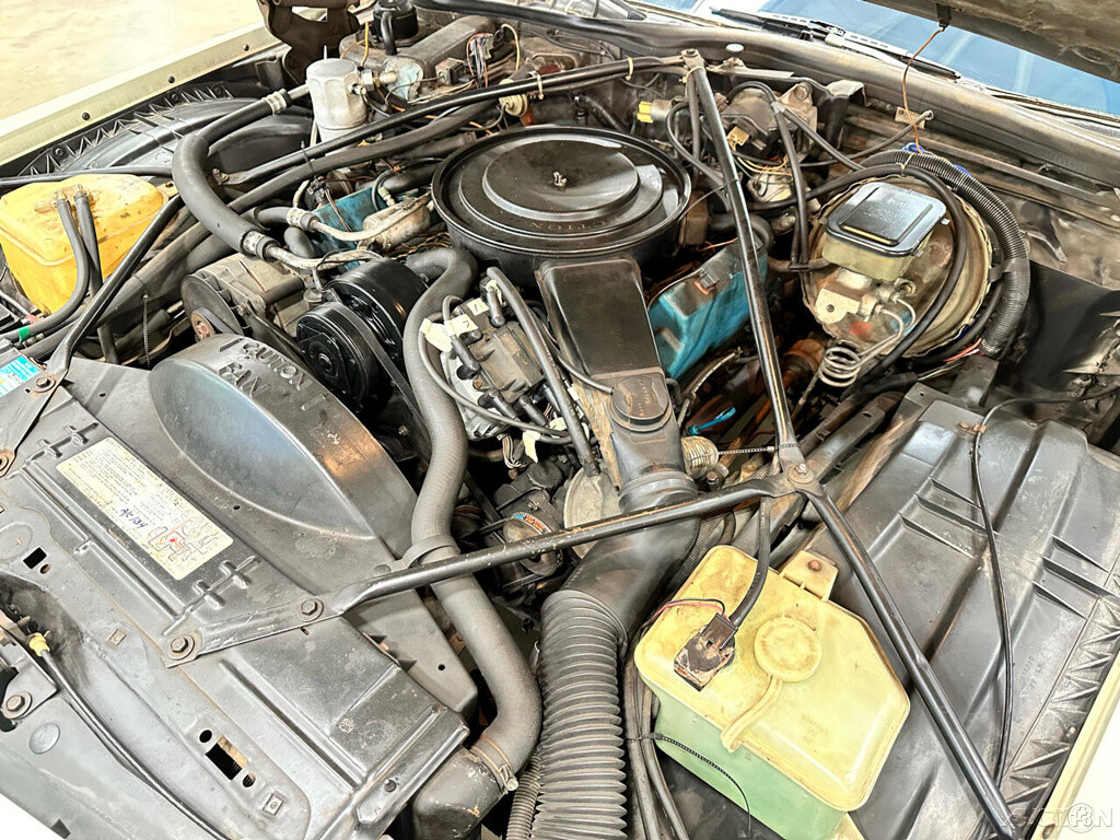 Cadillac-DeVille-1981-Coupe-13