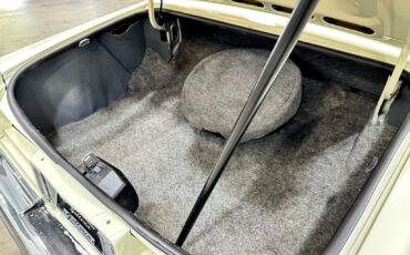 Cadillac-DeVille-1981-Coupe-18