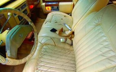 Cadillac-Deville-1979-6