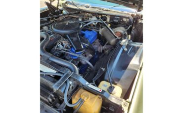 Cadillac-Eldorado-1970-Lanai-Green-White-21