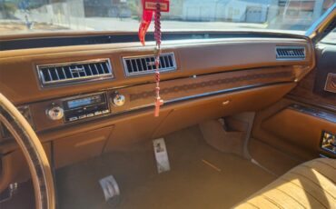 Cadillac-Eldorado-1974-Victorian-Amber-Fire-Victorian-Amber-Fire-16