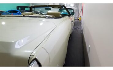 Cadillac-Eldorado-1976-Beige-Beige-22