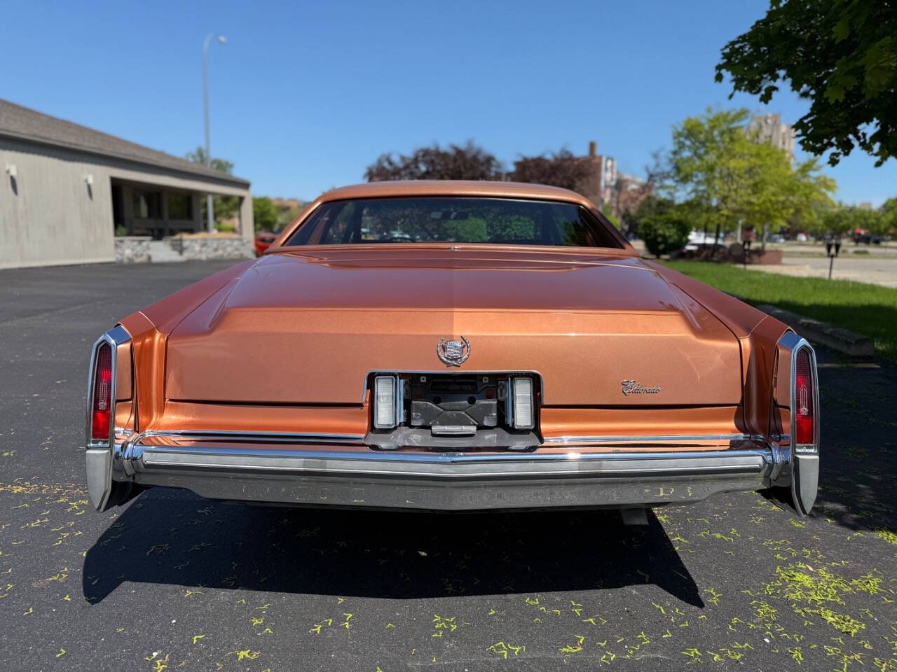 Cadillac-Eldorado-1977-Coupe-10